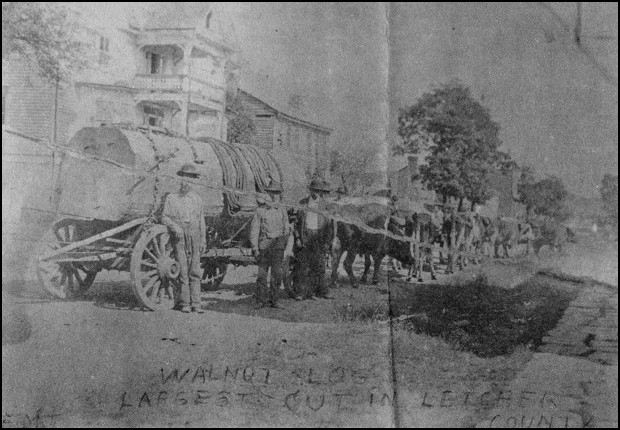 Biggest Log Ever Cut in Letcher County, KY? Leaning on the Wagon Wheel is Wagon Master Sam Wright, Brother to Bad John Wright, and to the Right of Sam is Henry Fields and an Unknown Man.