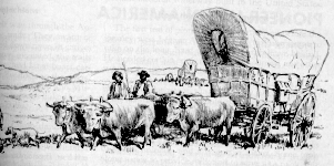 Oxen & Wagon
