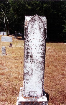 Eliza Ann Wilcox