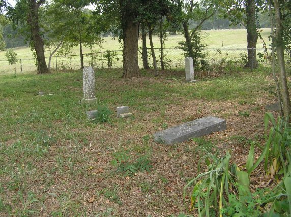 Stephenson-Harris Cemetery - click to enlarge