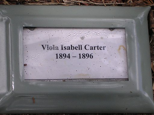Viola Isabell Carter