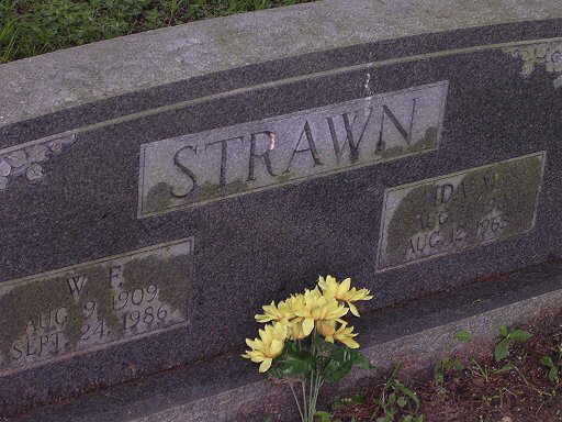 W. F. and Ida M. Strawn
