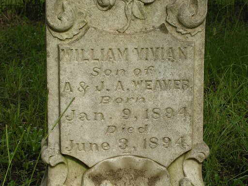 William Vivian Weaver