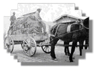 horse drawn wagon