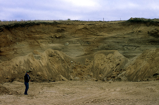 Crossbedded Permian Sandstone and Silt, Barber County, Kansas

Photo by John Charlton, courtesy of the Kansas Geological Society.