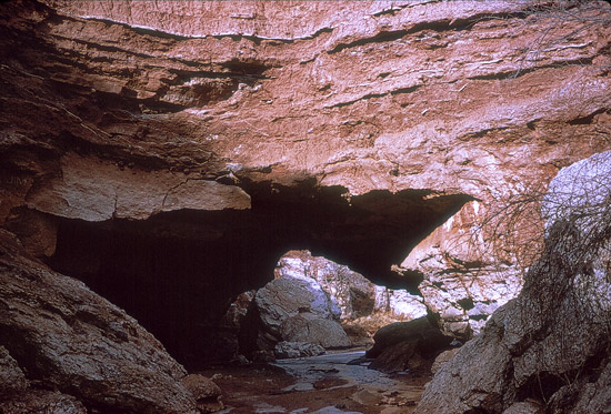 Bear Creek running under the Natural Bridge, 1960, Barber County, Kansas

Photo by Stan Roth, courtesy of the Kansas Geological Society.

CLICK HERE to view a collection of photos of the Natural Bridge.