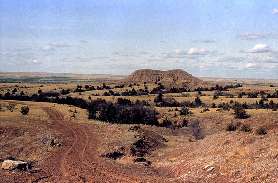 Trail in the Red Hills (Gypsum Hills) near Medicine Lodge, Barber County, Kansas

Photo by John Charlton, courtesy of the Kansas Geological Society.