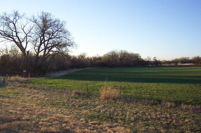 View of the field identified by George Miller as the location where the Hillman shooting took place.

Looking north to northwest from just east of the bridge over Crooked Creek.

Photo by Phyllis Scherich.