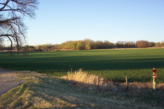 View of the field identified by George Miller as the location where the Hillman shooting took place.

View looking north to northeast from the driveway area just east of the Crooked Creek bridge.

Photo by Phyllis Scherich.