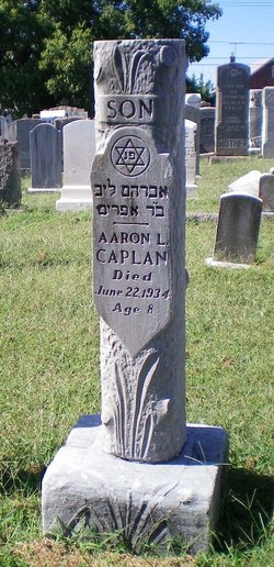 Aaron L Caplan