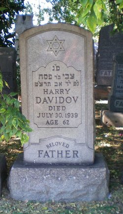 Harry Davidov