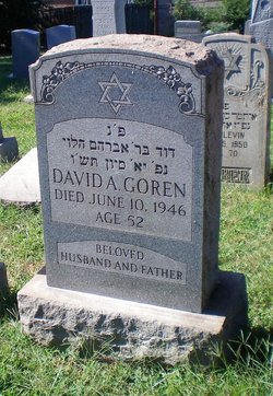 David A Goren