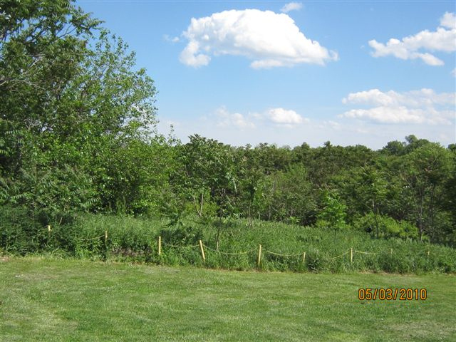 division between cemetery &  golf course