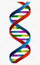 DNA