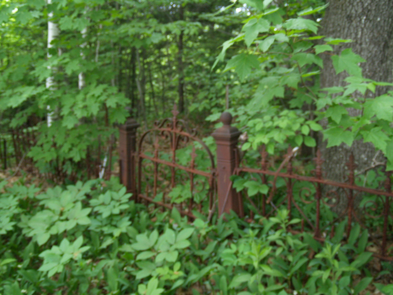 Mower Cemetery