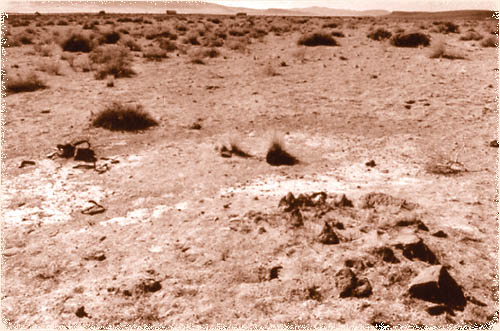Immigrant Grave, Forty Mile 

Desert, Churchill County, Nevada