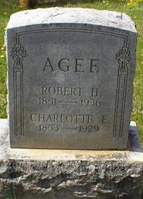 Robert H Agee
