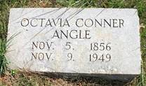 Octavia <i>Conner</i> Angle