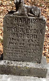 Harris Radford