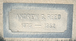 Andrew G Reed