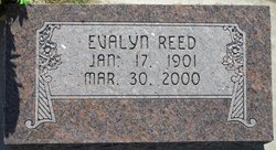  Evalyn Reed