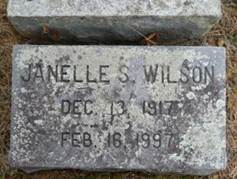  Janelle <I>Shelor</I> Wilson