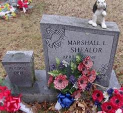 Marshall Lee Shealor
