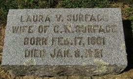 Laura V Surface
