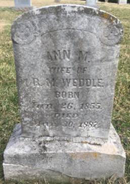  Ann Mary <I>Weddle</I> Weddle