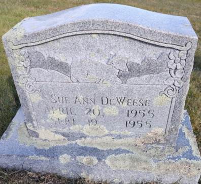 A tombstone with a picture of a cow

AI-generated content may be incorrect.