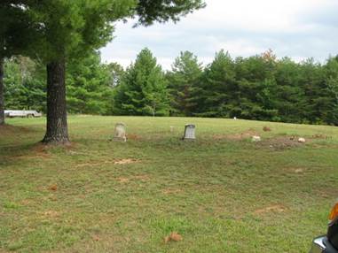 A grassy field with trees in the background

Description automatically generated with low confidence