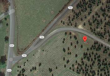 Aerial view of a road and a forest

AI-generated content may be incorrect.