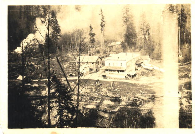 logging scene