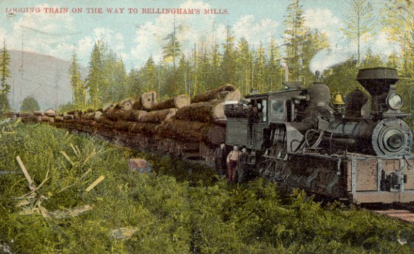 log train