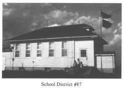School District #87