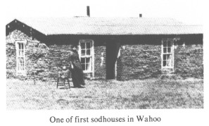 Sodhouse