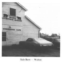 Sale Barn - Wahoo