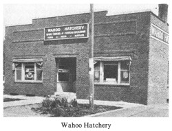 Wahoo Hatchery