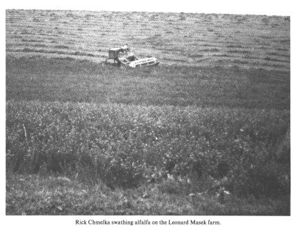Rick Chmelka swathing alfalfa on the Leonard Masek farm