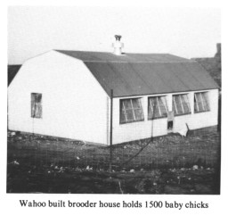 Wahoo built brooder house