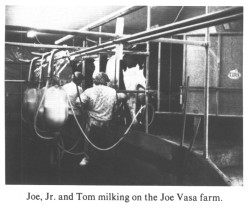 Joe, Jr. and Tom milking on the Joe Vasa farm