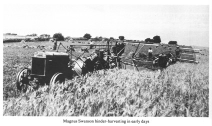 Magnus Swanson binder-harvesting in early days