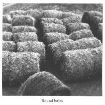 Round bales