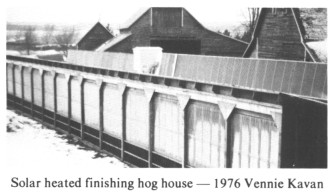 Solar heated hog house