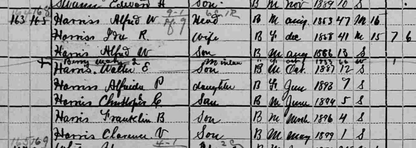 Cropped Image of 1900 US Census
