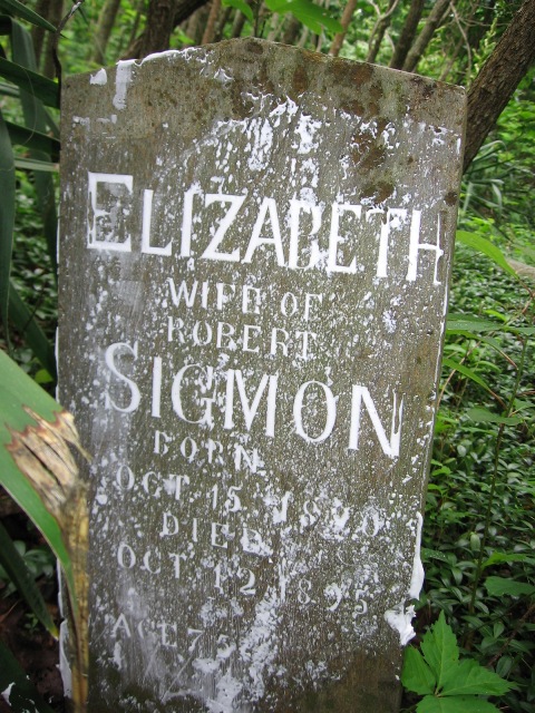 A tombstone in a forest

Description automatically generated with low confidence
