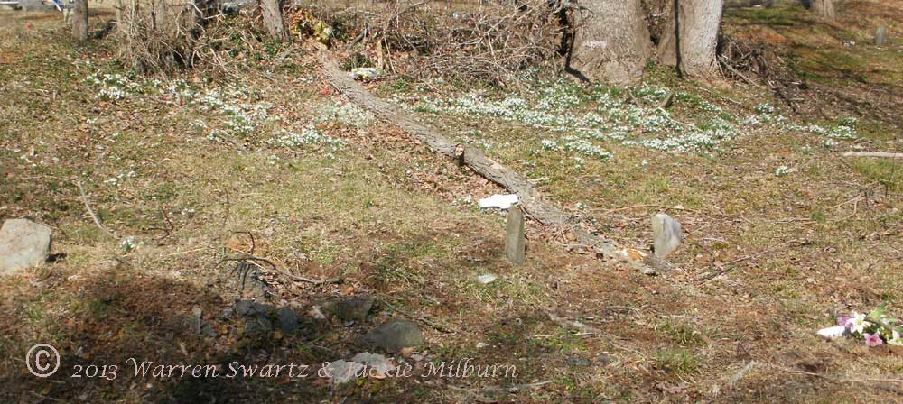 Odd Fellow Cemetery near Little Washington