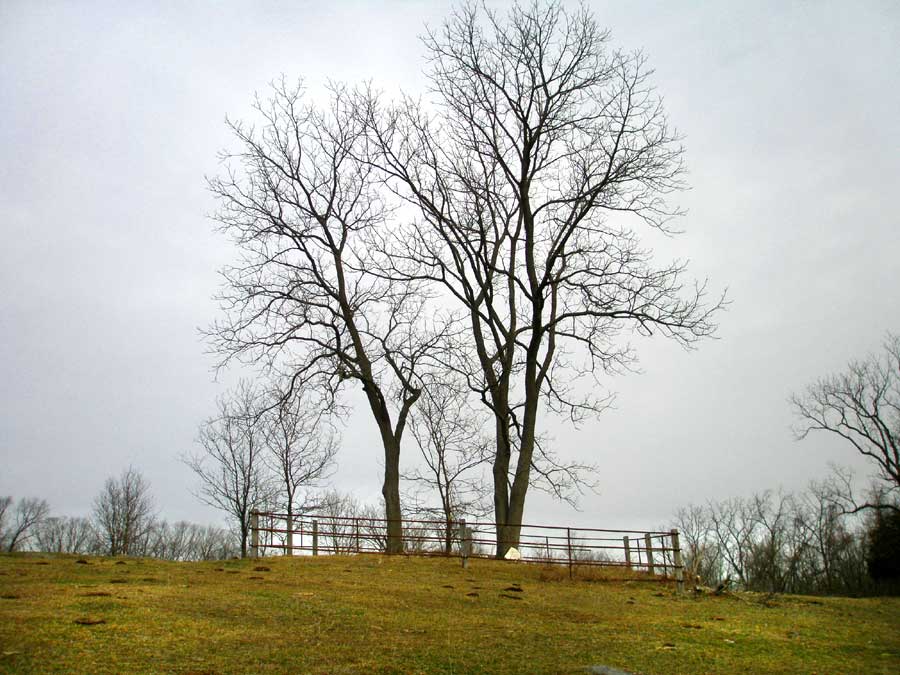 Bly Cemetery near Fishers Hill