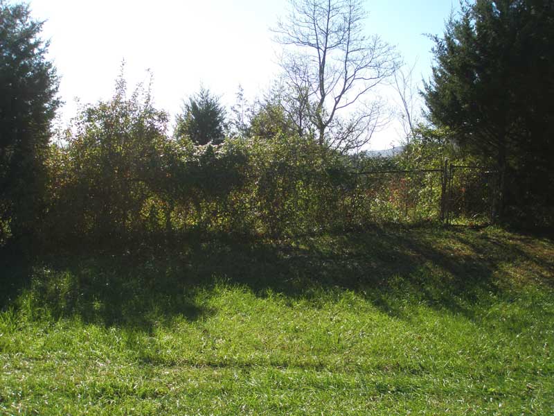 Borden Cemetery