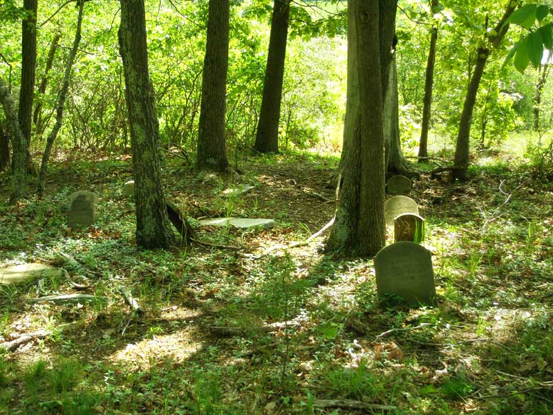 Bowman Cemetery near Carmel